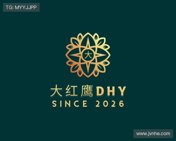 解读大红鹰dhy