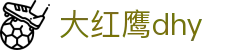 大红鹰dhy(中国)有限公司官网